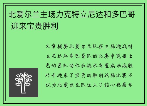 北爱尔兰主场力克特立尼达和多巴哥 迎来宝贵胜利