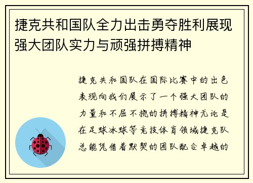 捷克共和国队全力出击勇夺胜利展现强大团队实力与顽强拼搏精神